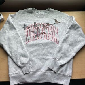 Gray Wisconsin Graphic Men's Champion Collegiate Sweater